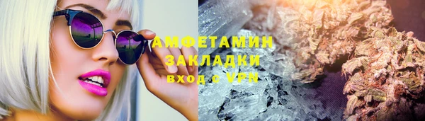 ГАЛЛЮЦИНОГЕННЫЕ ГРИБЫ Дмитровск