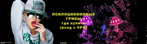 ГАЛЛЮЦИНОГЕННЫЕ ГРИБЫ Дмитровск