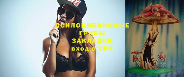 ГАЛЛЮЦИНОГЕННЫЕ ГРИБЫ Дмитровск