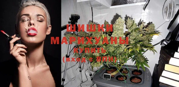 молекула духа Ельня