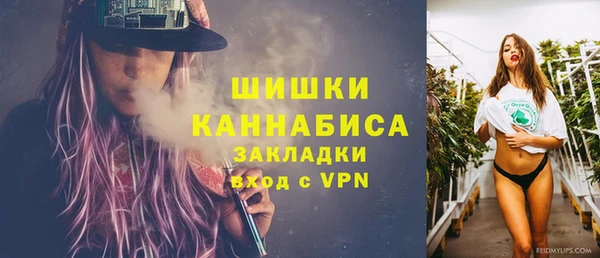 ГАЛЛЮЦИНОГЕННЫЕ ГРИБЫ Дмитровск