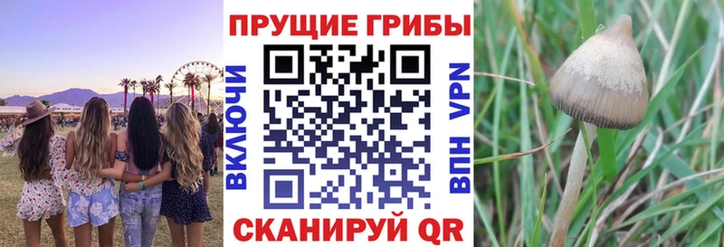 Галлюциногенные грибы мицелий Шелехов